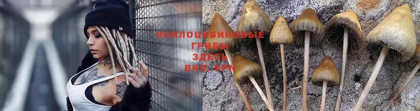 хмурый Верея