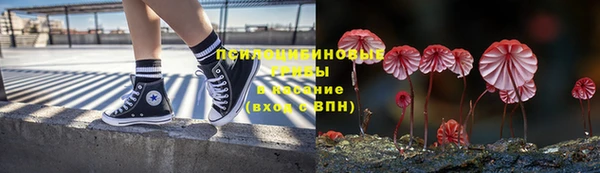 ГАЛЛЮЦИНОГЕННЫЕ ГРИБЫ Волоколамск