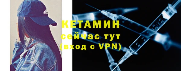 хмурый Верея