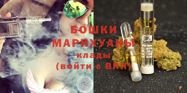 хмурый Верея