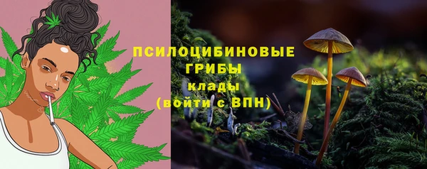 хмурый Верея